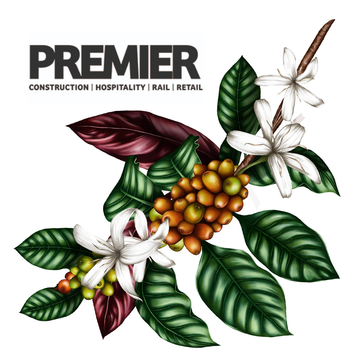 Charlotte Jades Collaboration with Costa Coffee featured on Premier Construction