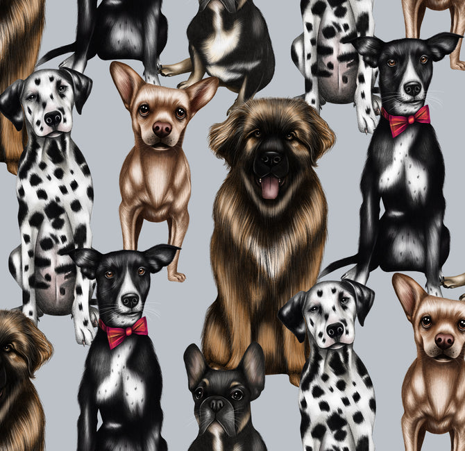 Charlotte Jade Collaborates With Wild At Heart Foundation on bespoke hand drawn design all inspired by dogs