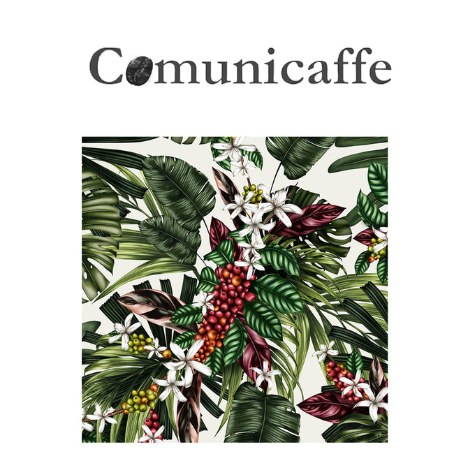 Charlotte Jades Collaboration with Costa Coffee featured in Communicaffe