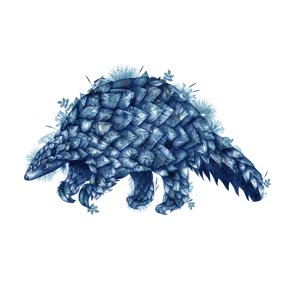 Charlotte Jade Creates Bespoke Illustrations for London Zoo