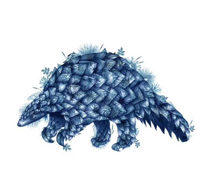 Charlotte Jade Creates Bespoke Illustrations for London Zoo