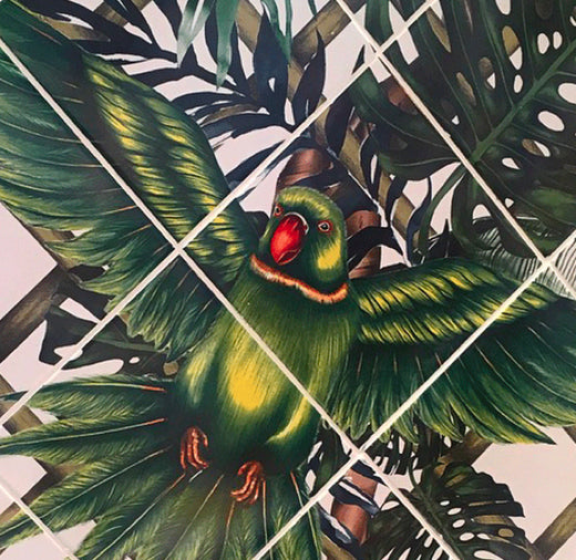 Charlotte Jade Bespoke, Hand Drawn Echo Parakeet Mural for Kelly Hoppen Interiors, Bespoke Charlotte Jade Services
